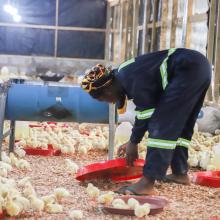 Empowered to Grow: Elizabeth’s Agricultural Journey with the HAPPY Program