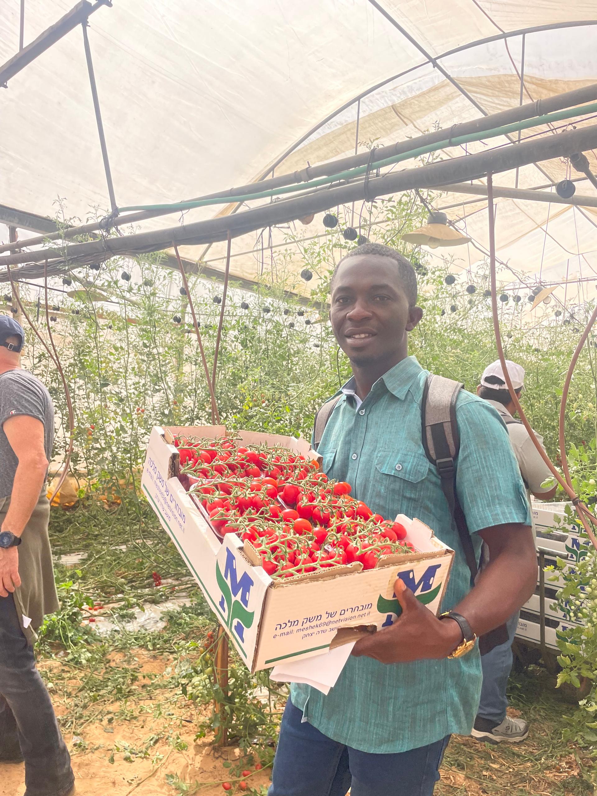 Agri-Impact Limited, a leading agribusiness firm in Ghana