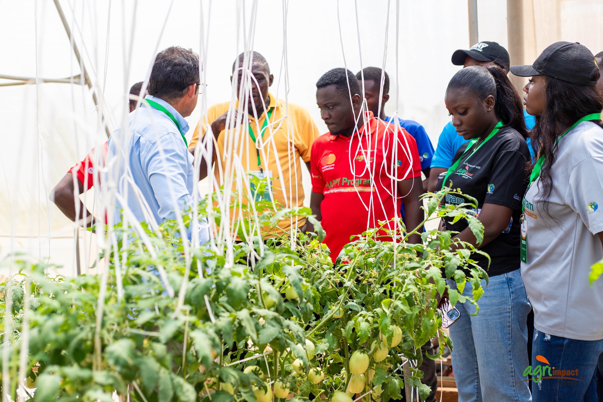 Iñaki of MSC Invernaderos Lauds Fresh Logistics’ Greenhouse Success