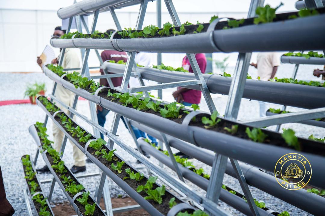 KNUST confers Honorary Doctorate on Agri-Impact CEO Daniel Fahene Acquaye