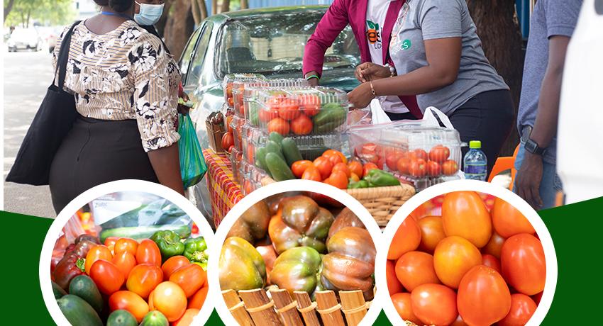 Development of Agribusiness Investments