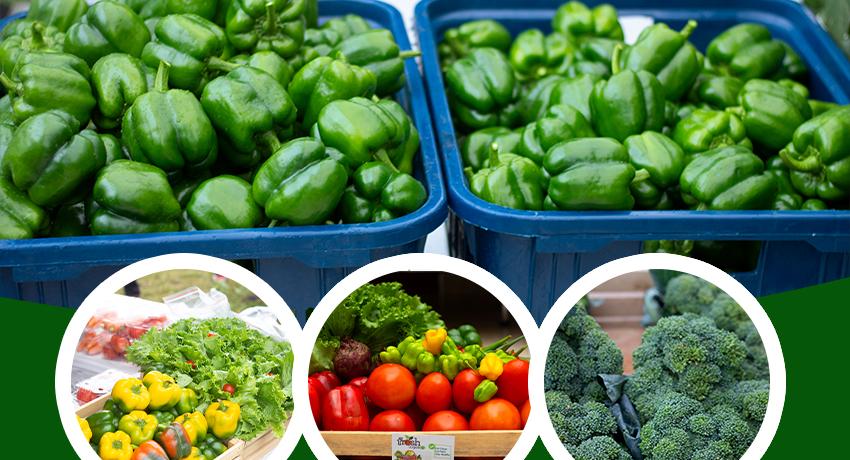 Market Facilitation and Market Linkages