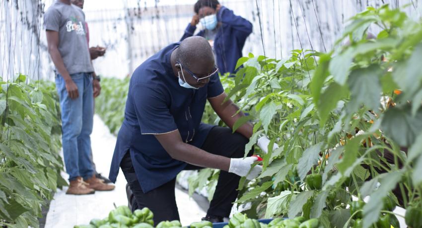 Agricultural Project Development