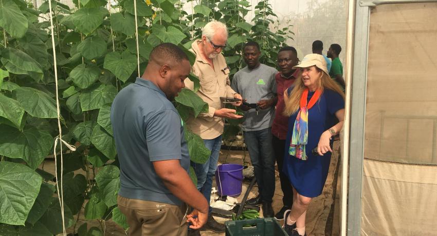 Fresh Logistics, Demeter Ghana Unite for excellence in greenhouse farming