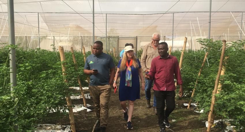 Fresh Logistics, Demeter Ghana Unite for excellence in greenhouse farming