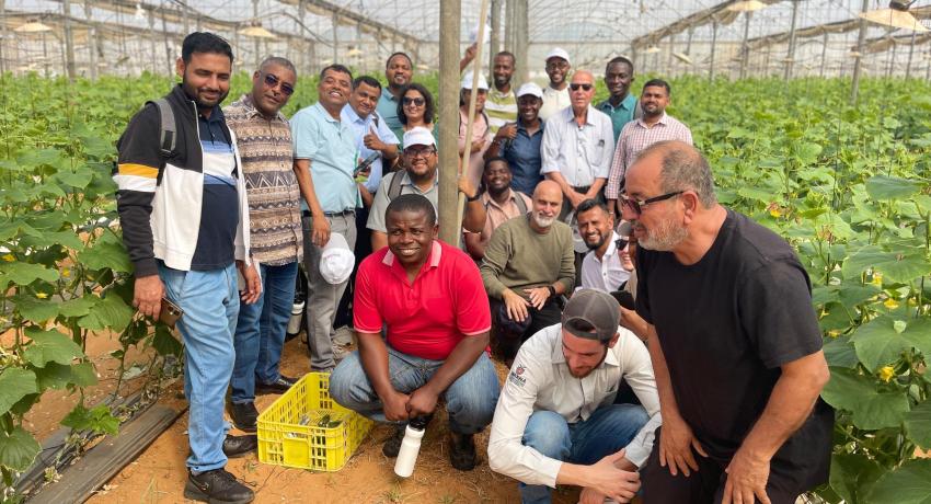 Agri-Impact Limited, a leading agribusiness firm in Ghana