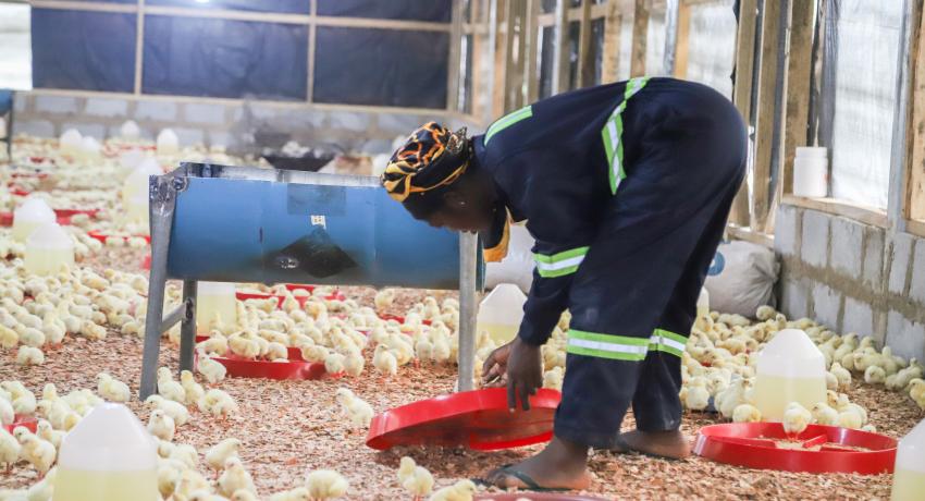 Empowered to Grow: Elizabeth’s Agricultural Journey with the HAPPY Program