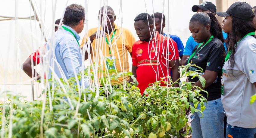 Iñaki of MSC Invernaderos Lauds Fresh Logistics’ Greenhouse Success