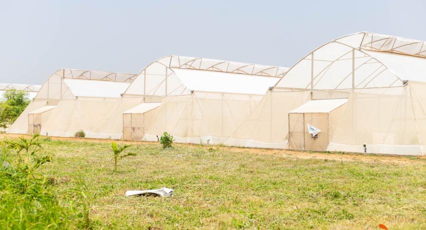 Iñaki of MSC Invernaderos Lauds Fresh Logistics’ Greenhouse Success