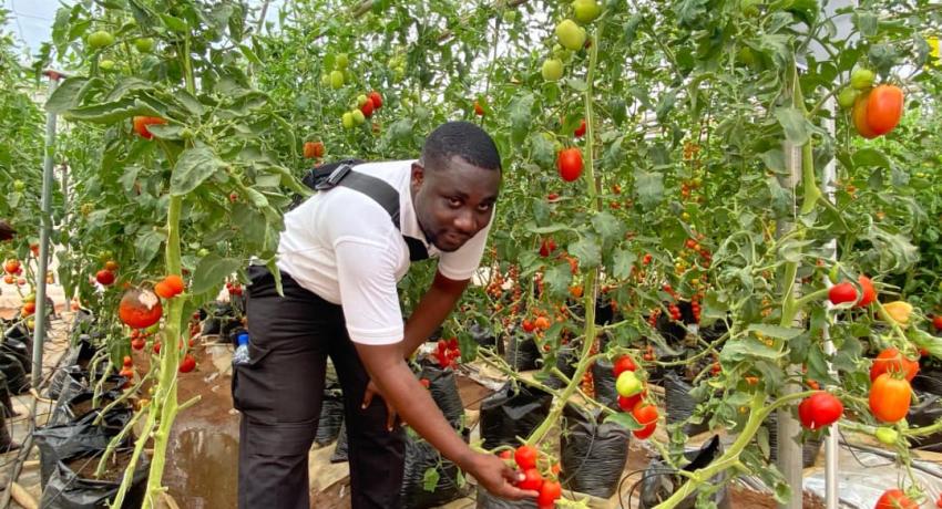 Fresh Logistics' Kelvin Essuman and Francis Tettey Participate in Rijk Zwaan West African Field Days in Benin