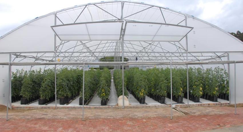Partnership for Food Industry Development – Natural Products Program (PFID-NP)
